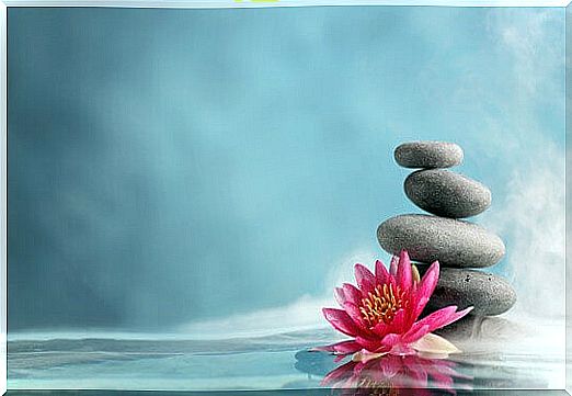 Mindfulness, stones and a flower