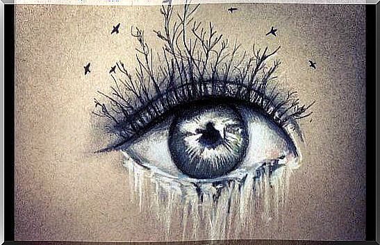 Tears from the eye with trees like eyelashes