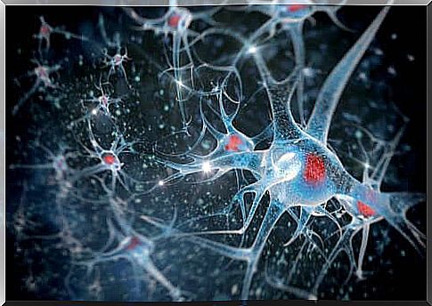 Neurons, biopsychology and research methods