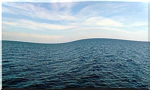 An image of the sea that looks calm.