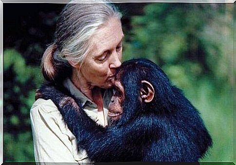 Five Jane Goodall quotes to reflect on