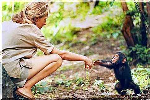 Jane Goodall and a primate