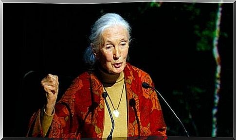 Some Jane Goodall quotes come from her activist conferences