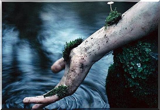 Hand with bog