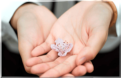 A hand with a flower.