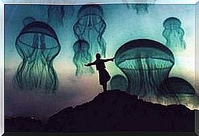 A person among jellyfish