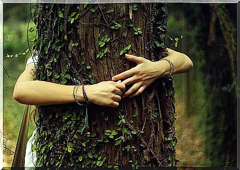 Person hugs a tree