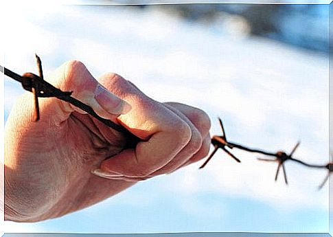 Hand holding barbed wire