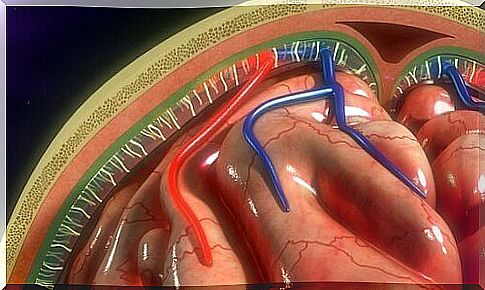 The meninges: Structure and functions