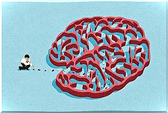 The brain and diazepam