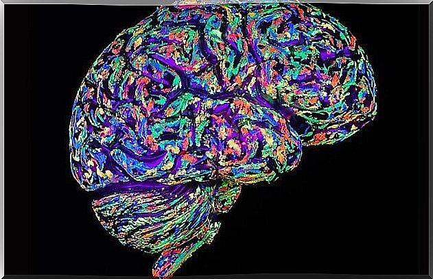 The effects Diazepam has on the brain